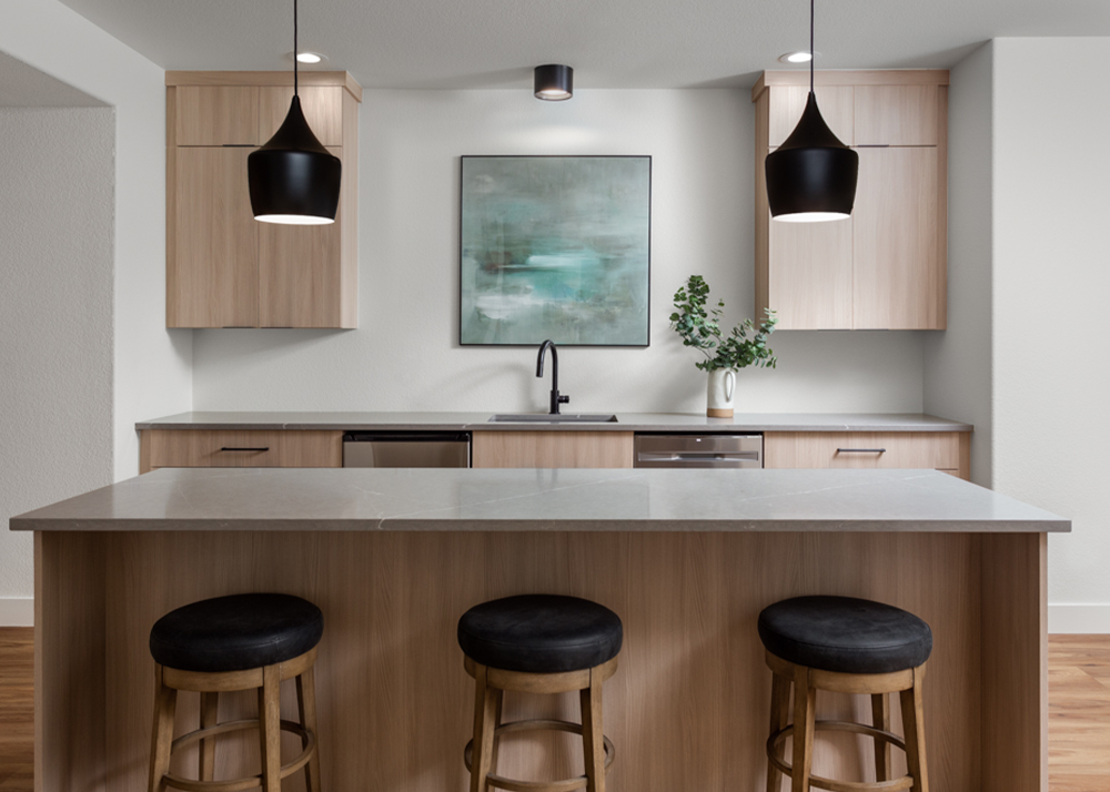 basement remodeling company fort collins