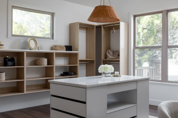 whole_home_remodel_custom_closet1