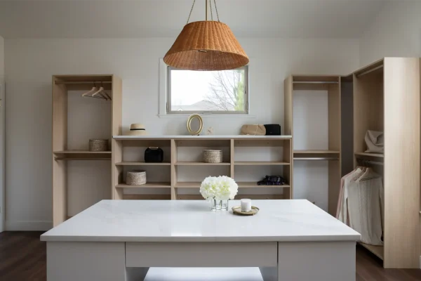 whole_home_remodel_custom_closet_2